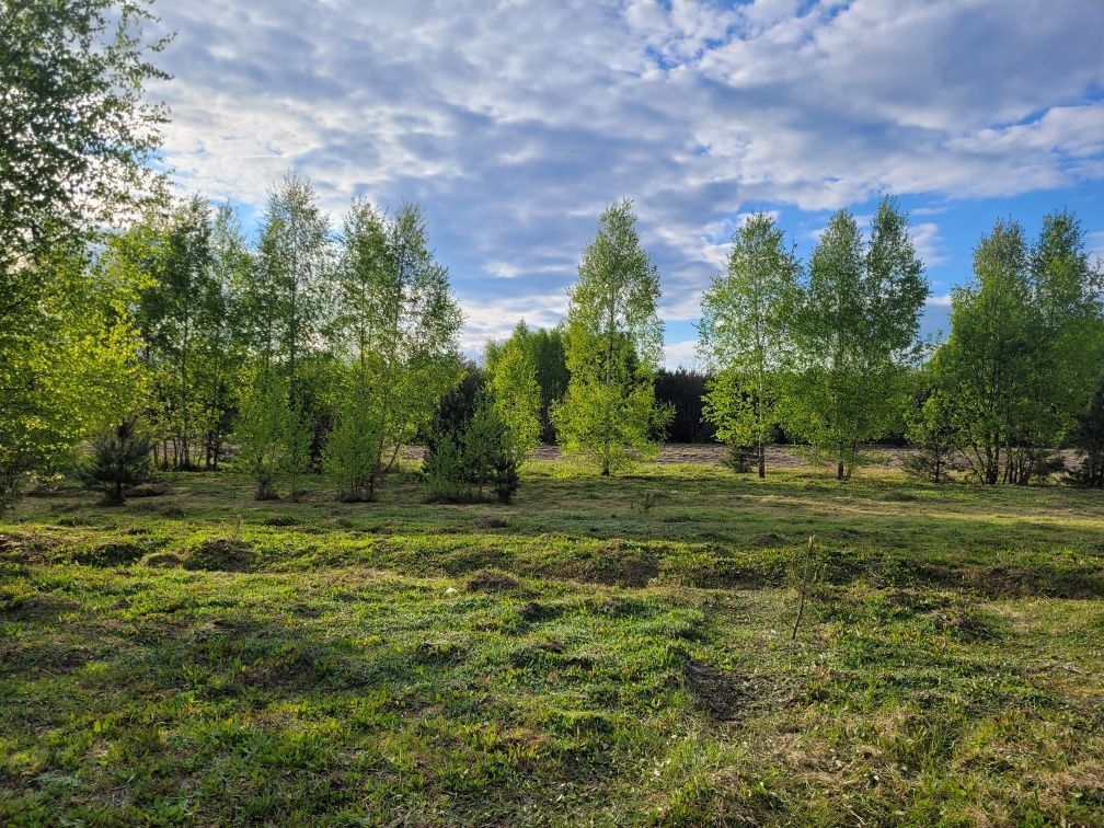 Piękną działka 1850m2 z wodą i prądem między Jastrzębią a Głowaczowem