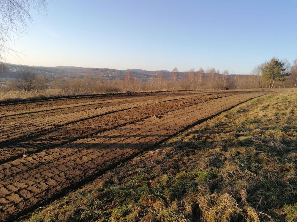 Mulczer leśny wgłębny powierzchniowy mulczowanie wycinka drzew działek