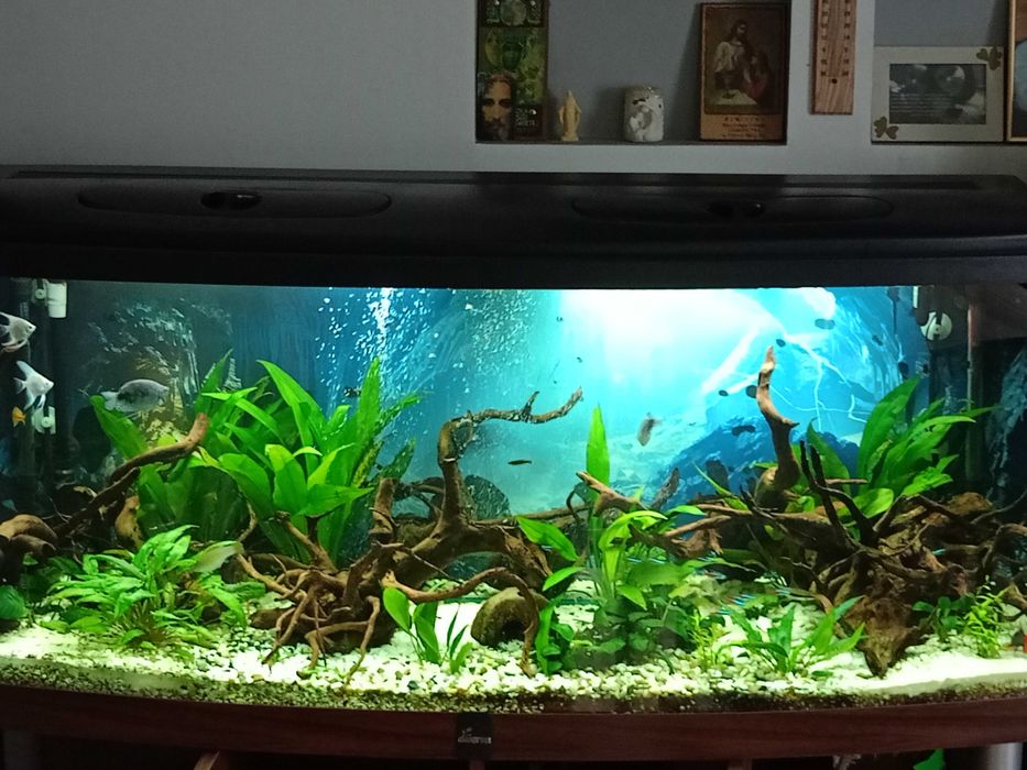 Akwarium 450 ltr Roczne kompletne cały zestaw