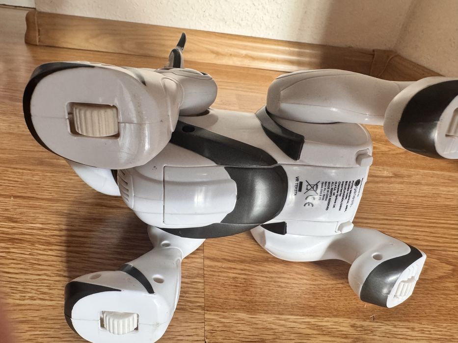 Робот-собака  у гарному стані