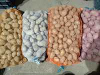 Ziemniaki jadalne Gala Wineta pakowane w worki 15 kg