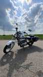 Suzuzki Intruder vl 125 cm3