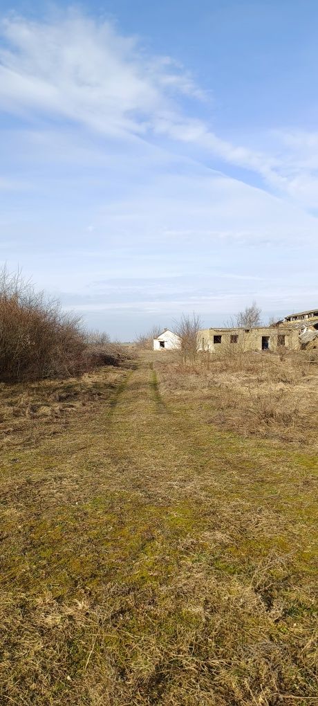 Комплекс будівель ферми.