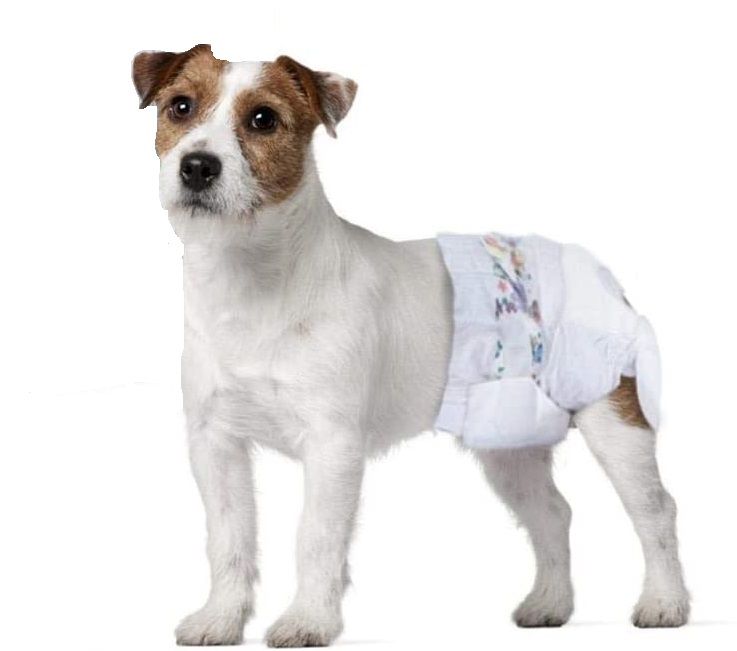 Pieluchy XL pampersy dla suczki psa 10-20kg /12szt