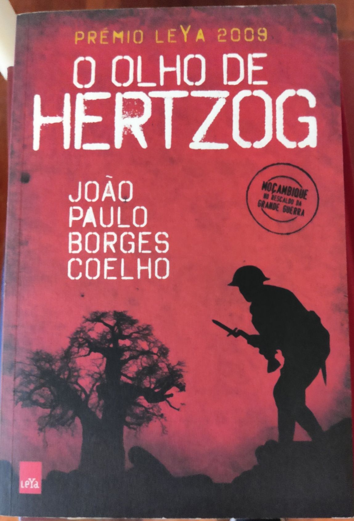 O olho de Hertzog de João Paulo Borges Coelho
