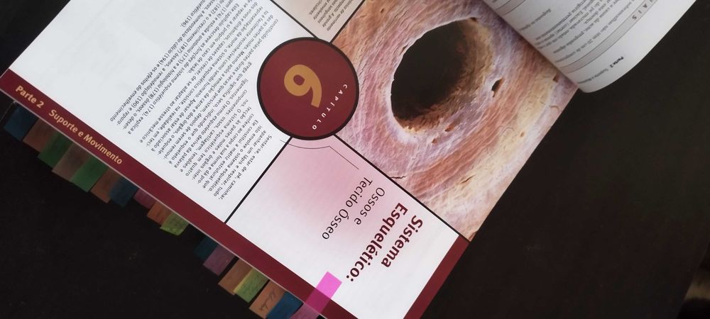 Livro Anatomia & Fisiologia.