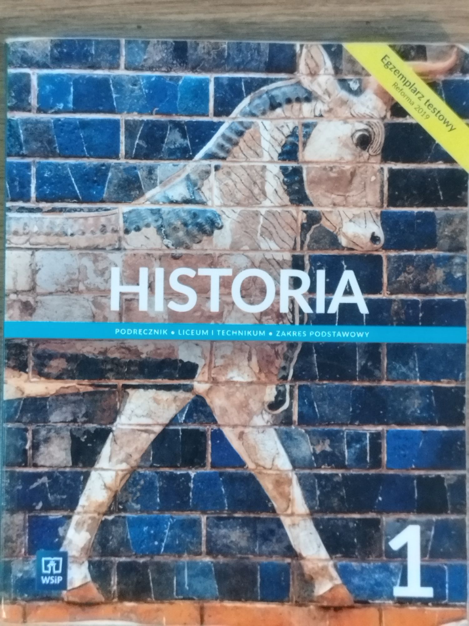 Książka Historia liceum lub technikum klasa1