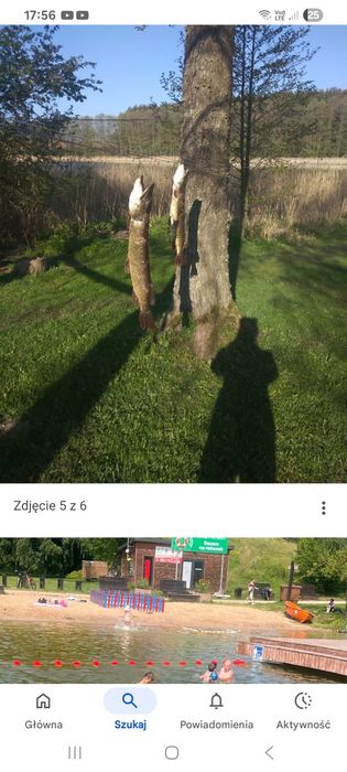 Olecko komfortowy 6 osobowy  apartament (ok. 100 m2) nad jeziorem.