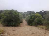 Terreno  para venda