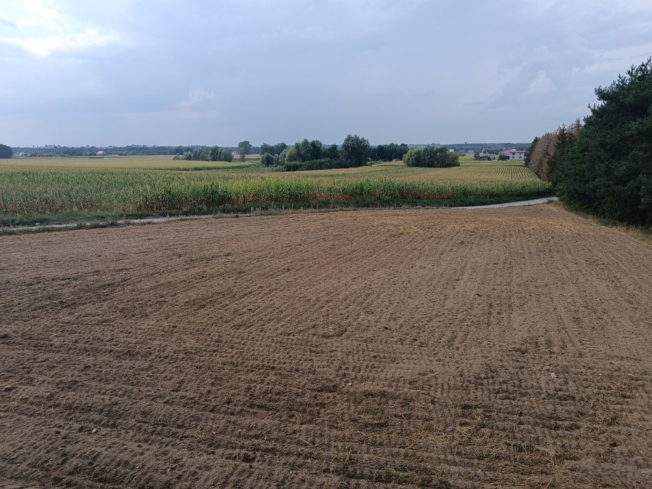 Działka rolno rekreacyjna w miejscowości Młyniec Drugi