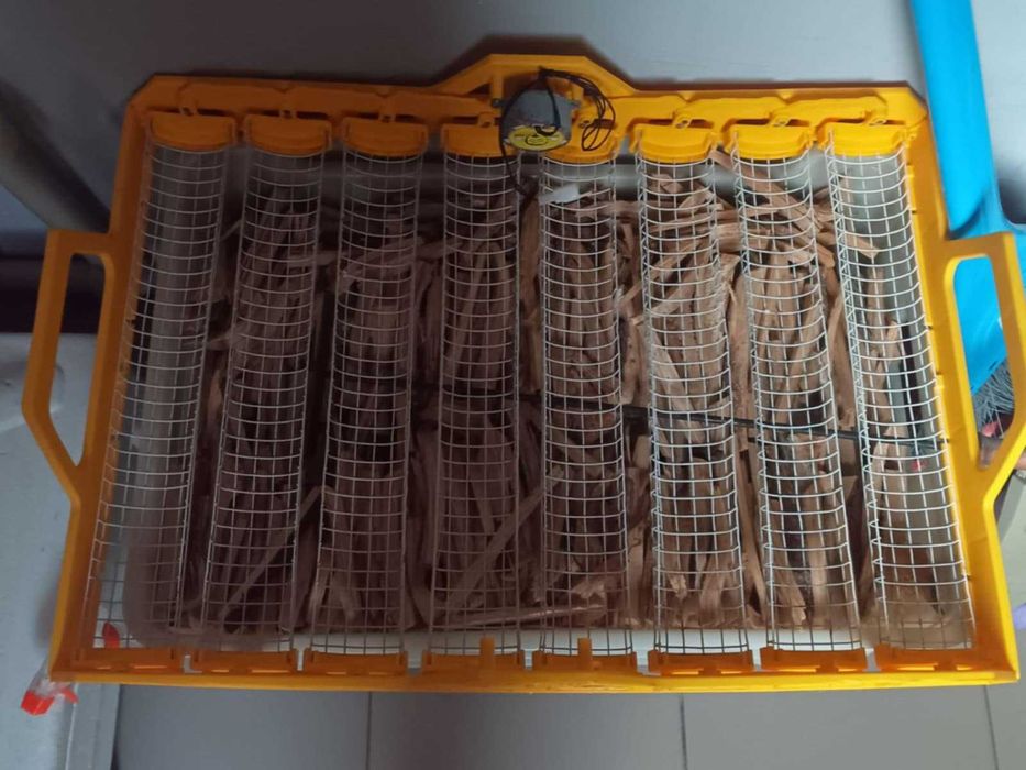 Інкубатор автоматичний Інверторний Теплуша Люкс 72 ІБ 220/50 ЛА(В)