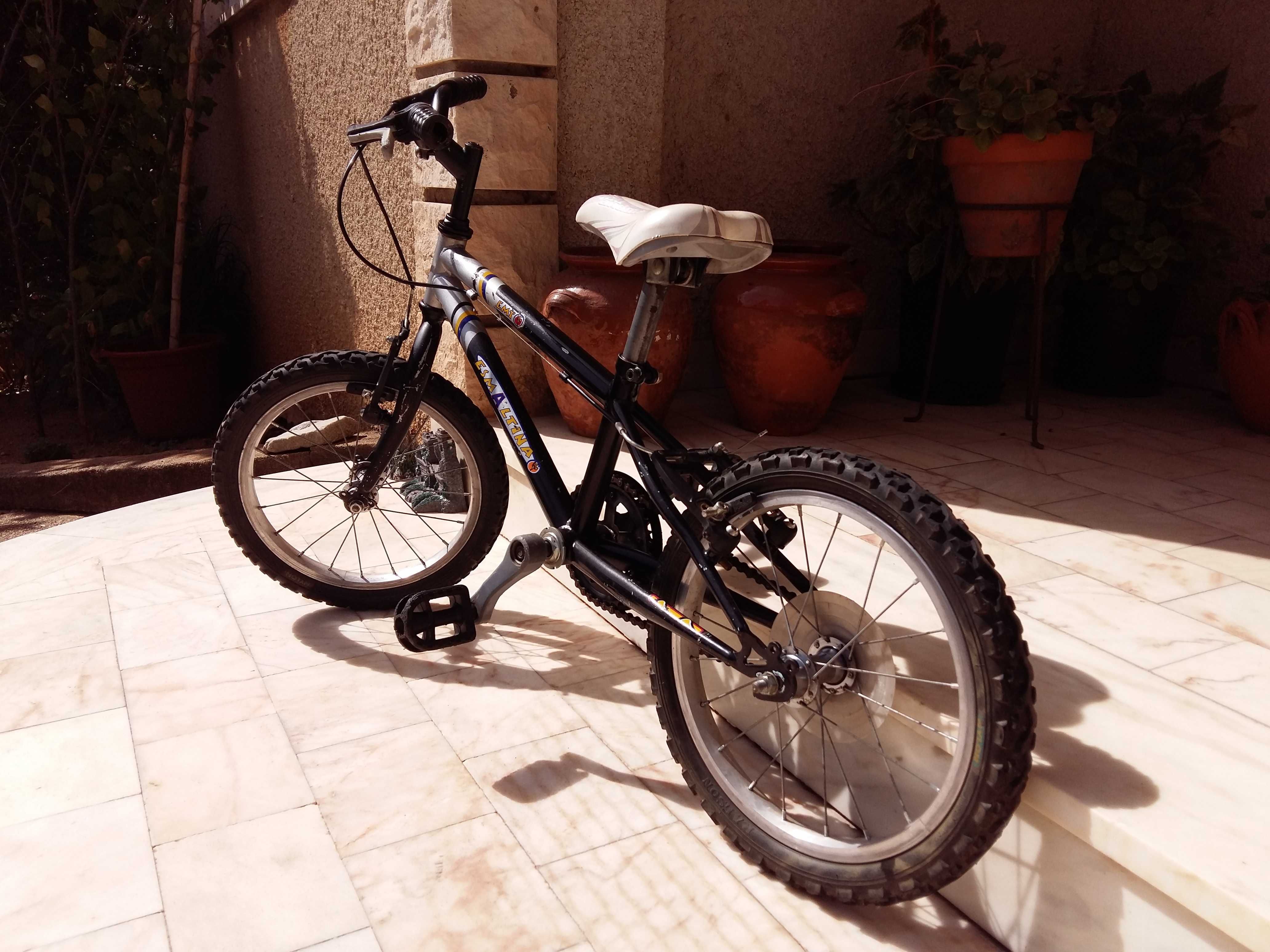 Bicicleta de Criança - Esmaltina