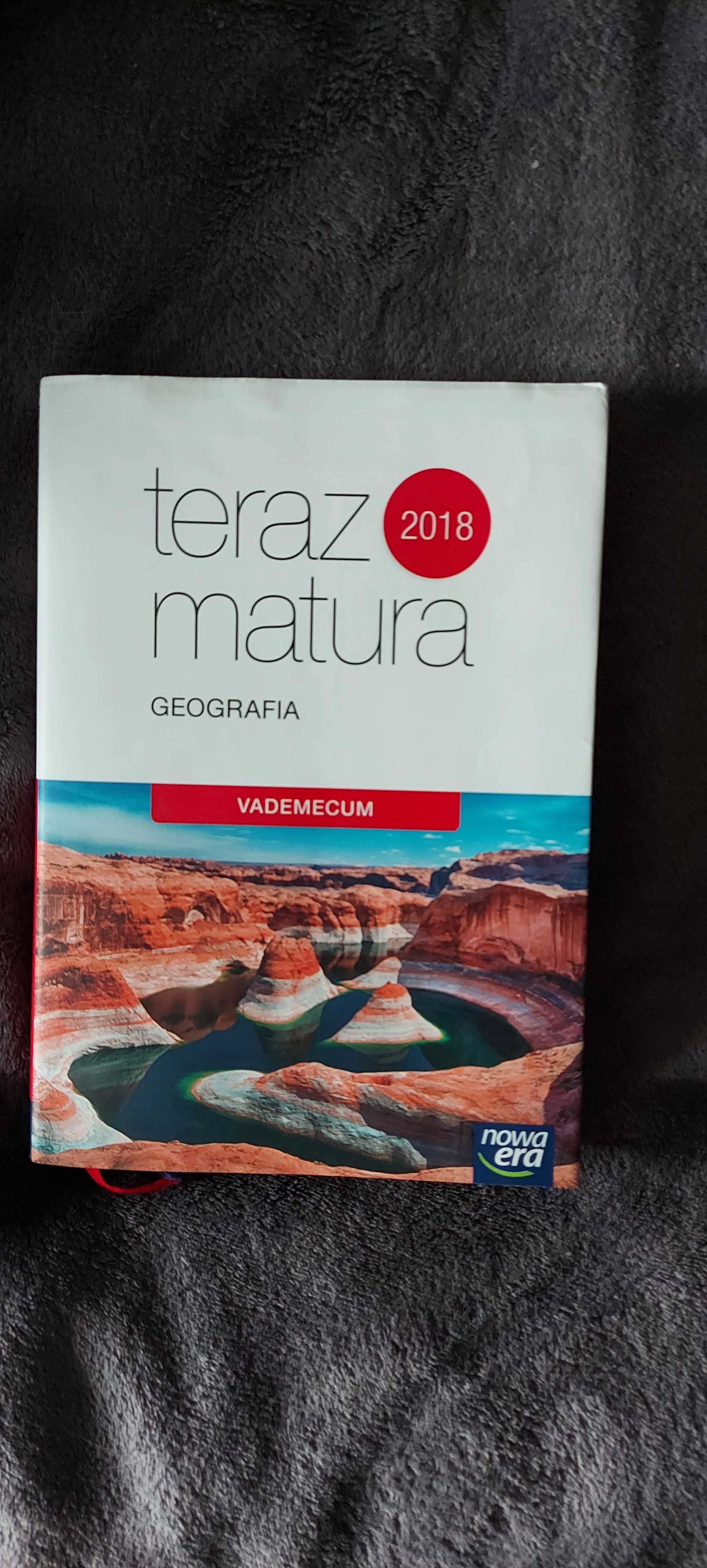 Repetytorium/ Vadamecum maturalne geografia