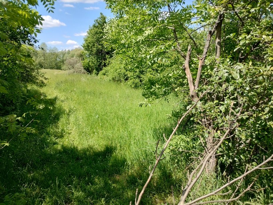 Замельна ділянка під забудову