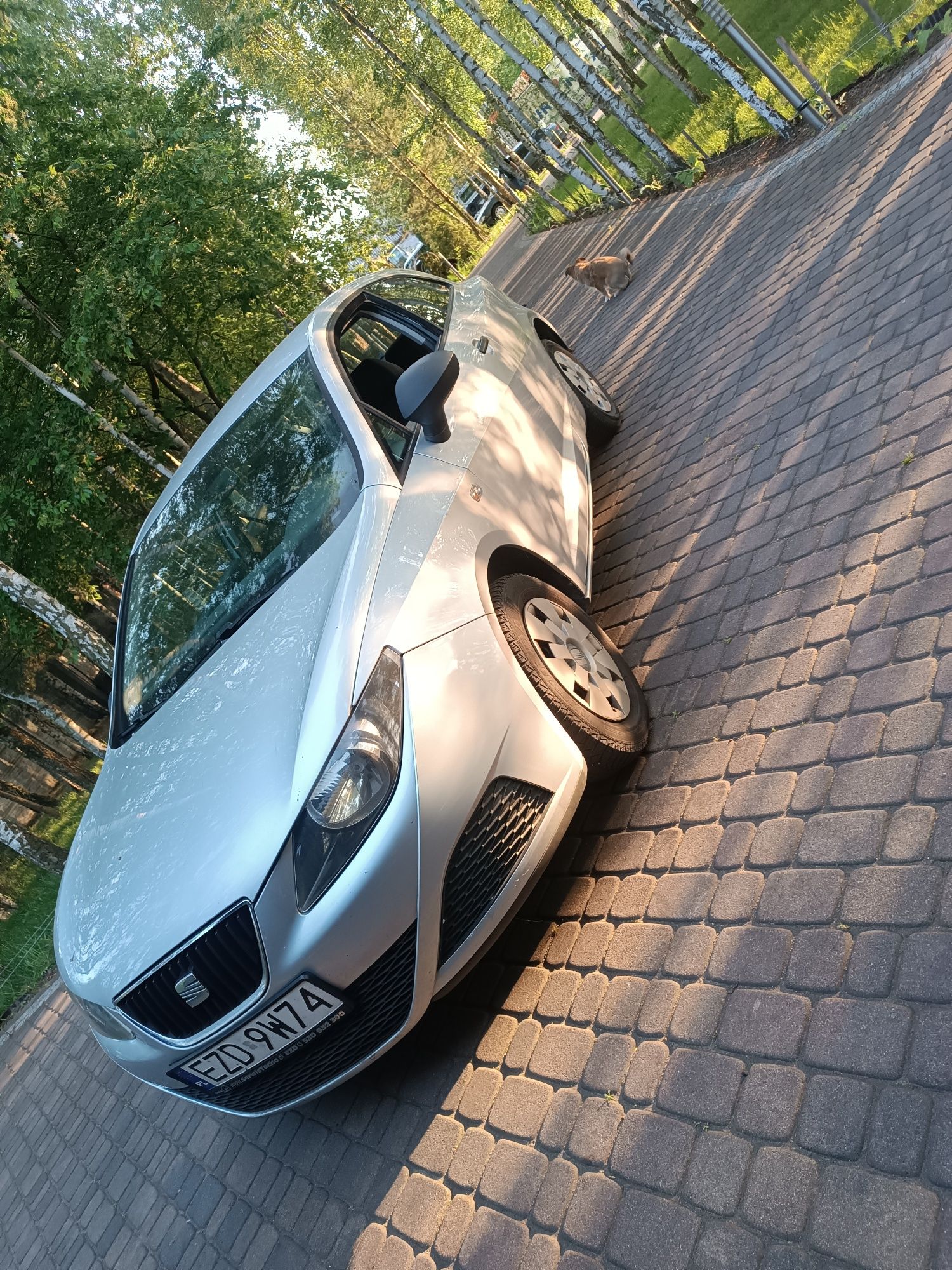 Seat Ibiza 1.2 2010 rok