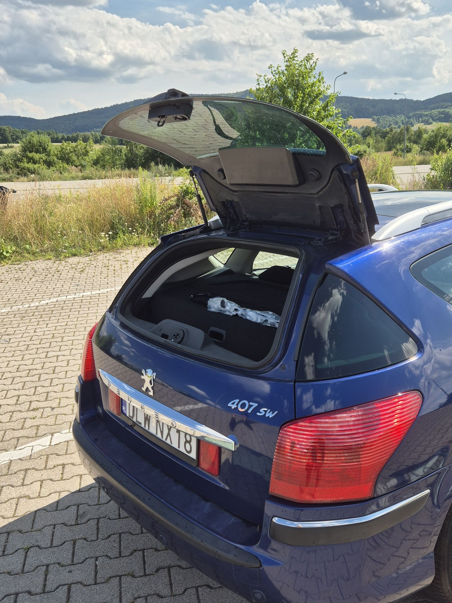 Peugeot 407, 2004 rok