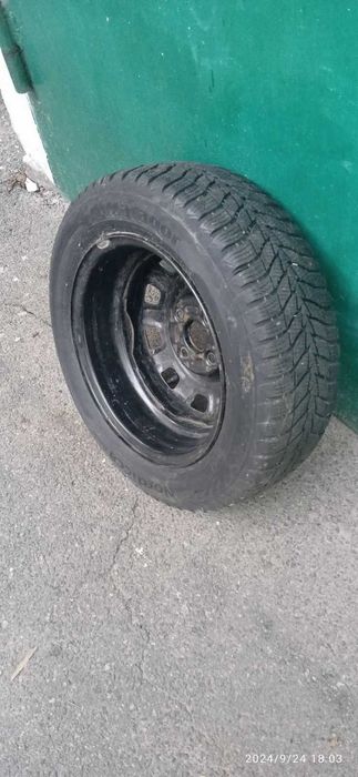 Автомобильное колесо в сборе.