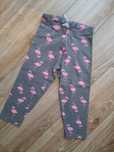 Cool Club krótkie legginsy r.152