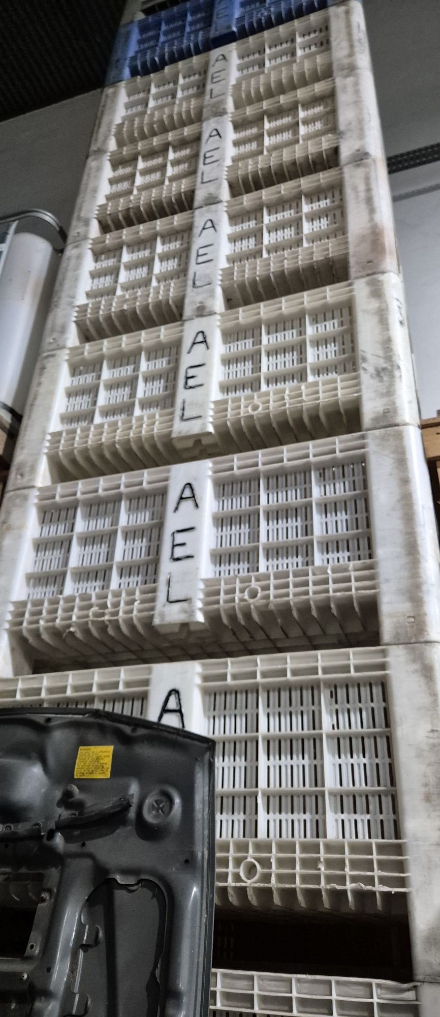 Palotes pequenos marca Domplex