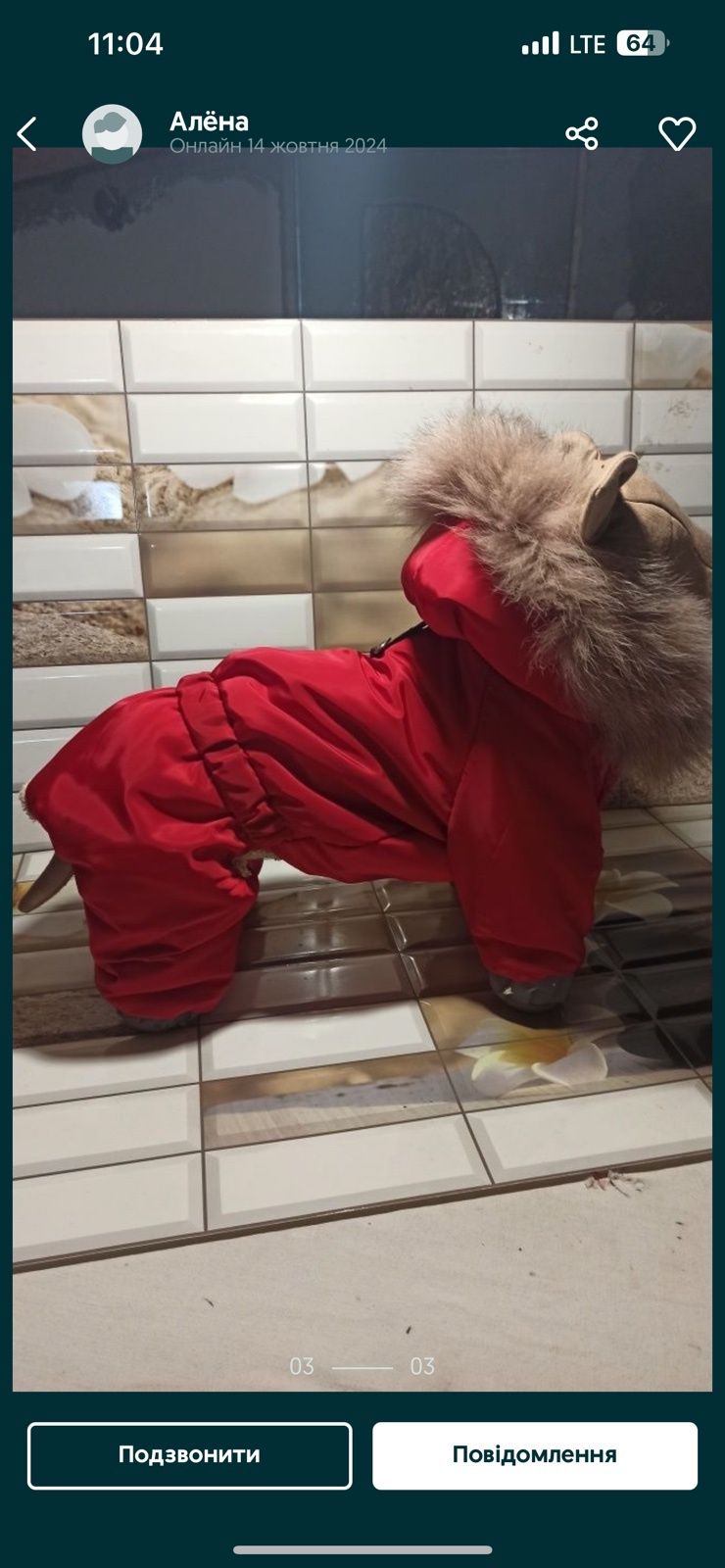Одежда для собак