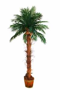 Palmy egzotyczne, sztuczne rośliny, dekoracje hawajskie, leżaki
