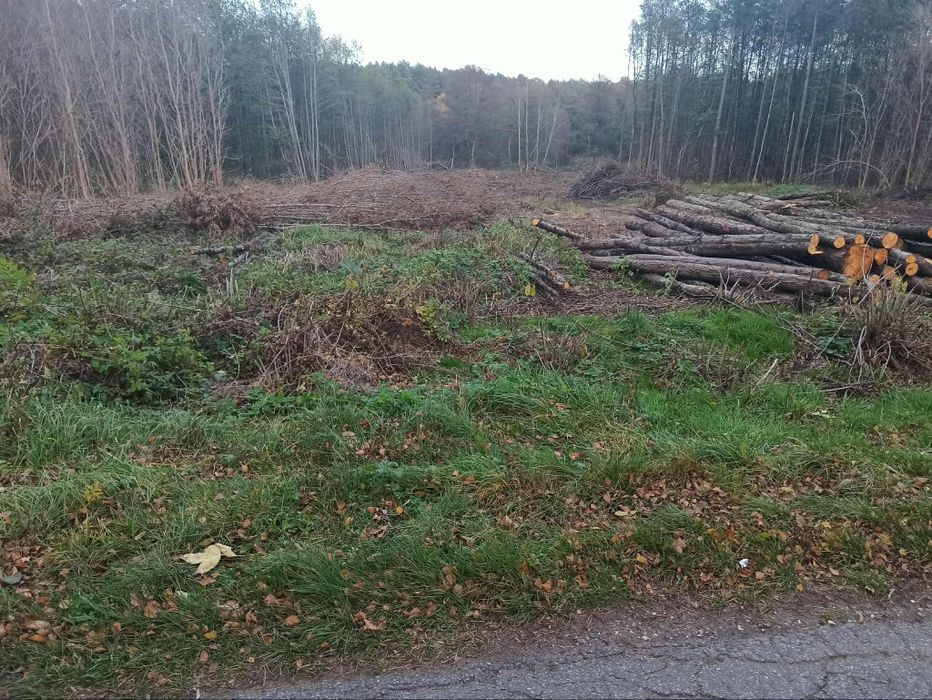 Działka budowlana 4800 m