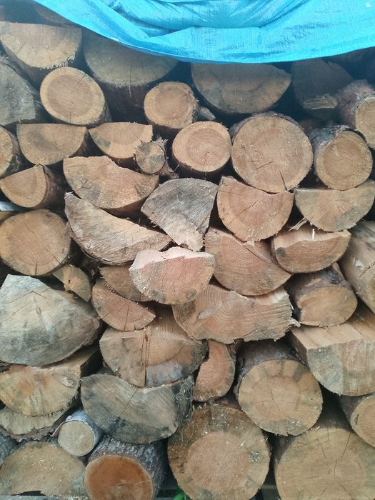 Drewno opałowe sosna suche gotowe do palenia