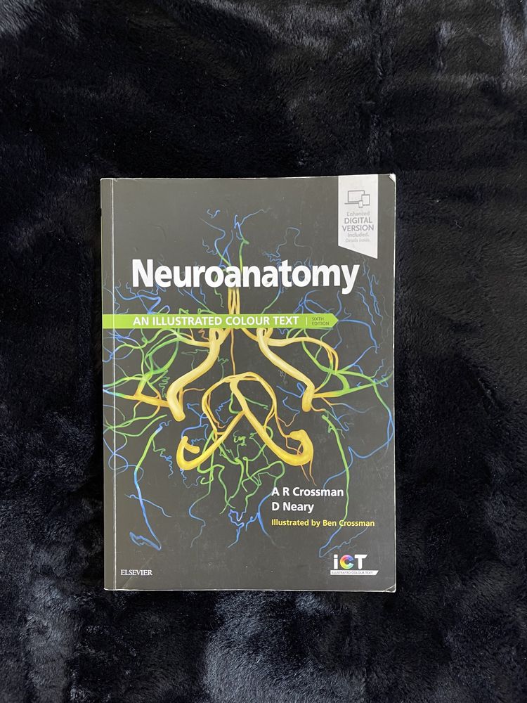 Neuroanatomy A R Crossman