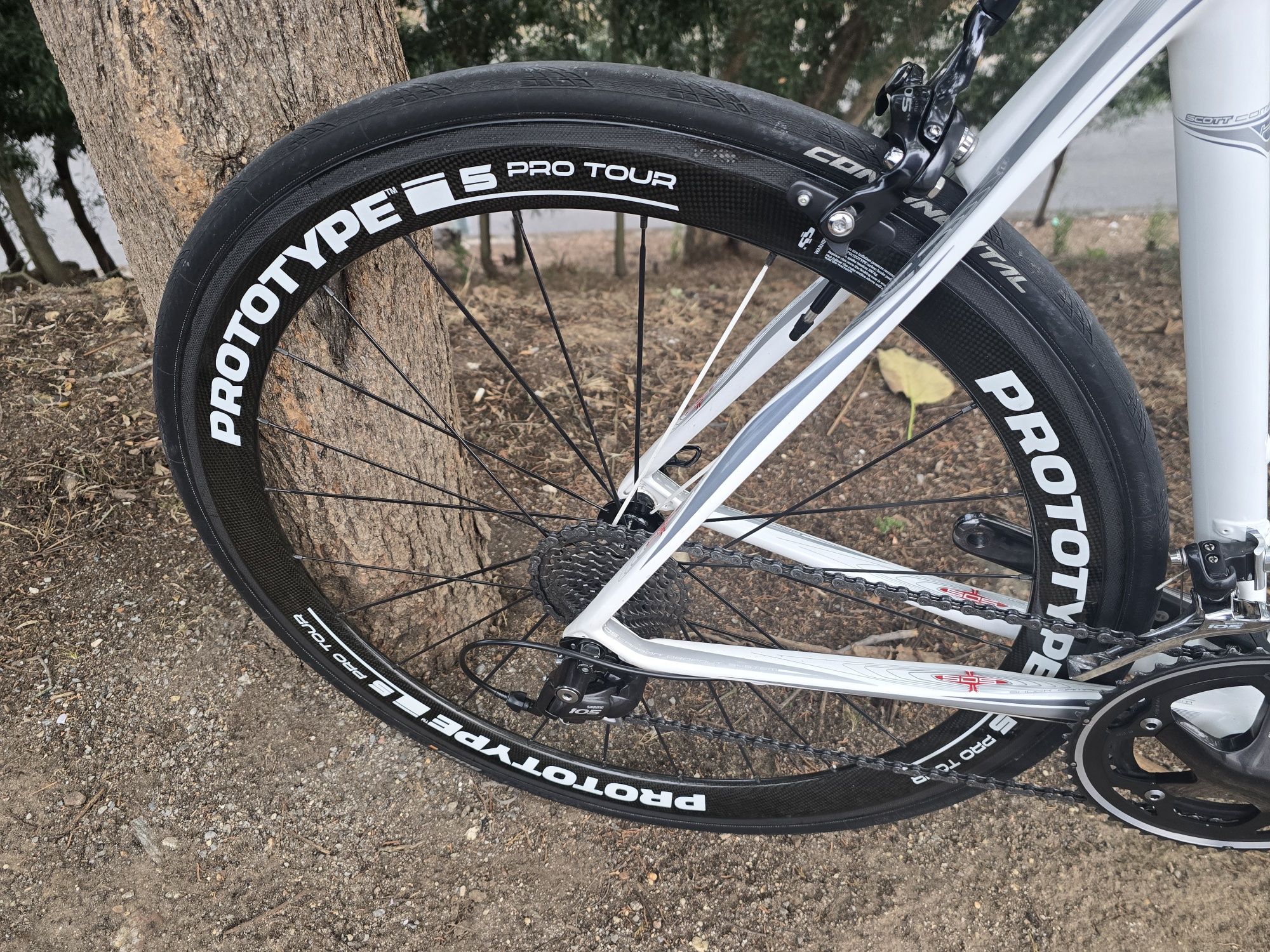Rodas de carbono de calco