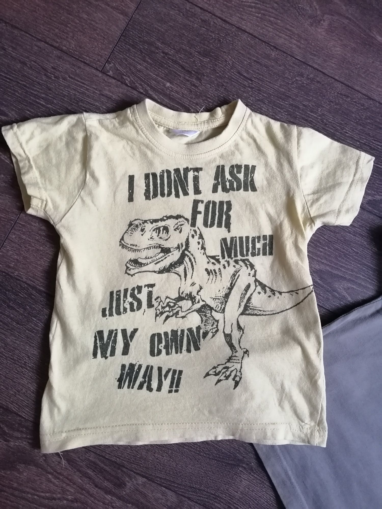 T-shirt chłopięcy rozmiar 98 marki Cherokee i Pepco