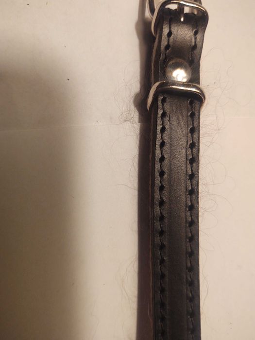 Skórzana obroża dla małego psa