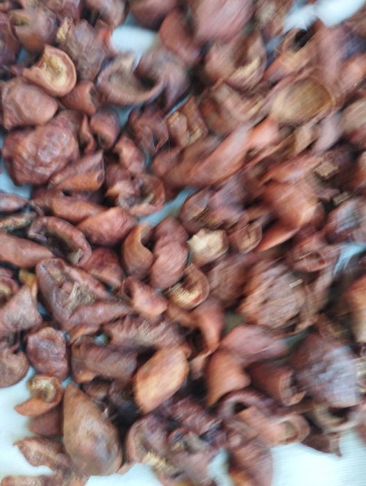 Пропоную лісові дикі груші