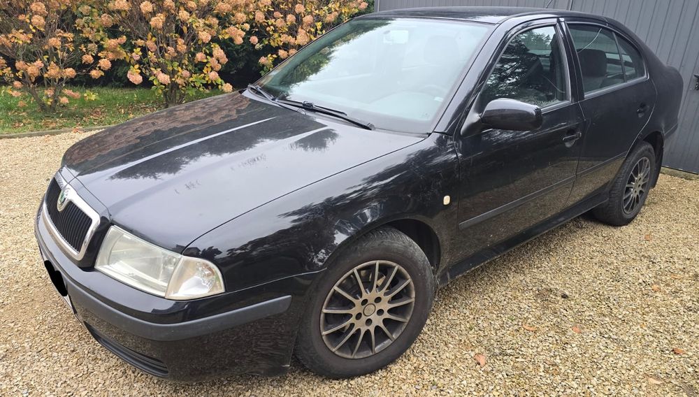 Niezawodna Skoda Octavia 1.9 TDI na sprzedaż! [2003]