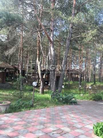 без %Ресторанний компл. 1200м2, сосновий бір, у власності 2 га фасад