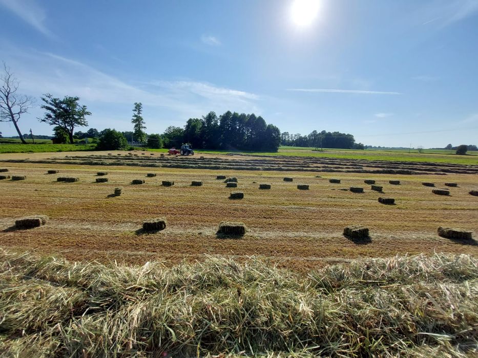 Siano kostki pierwszy i drugi pokos 2025