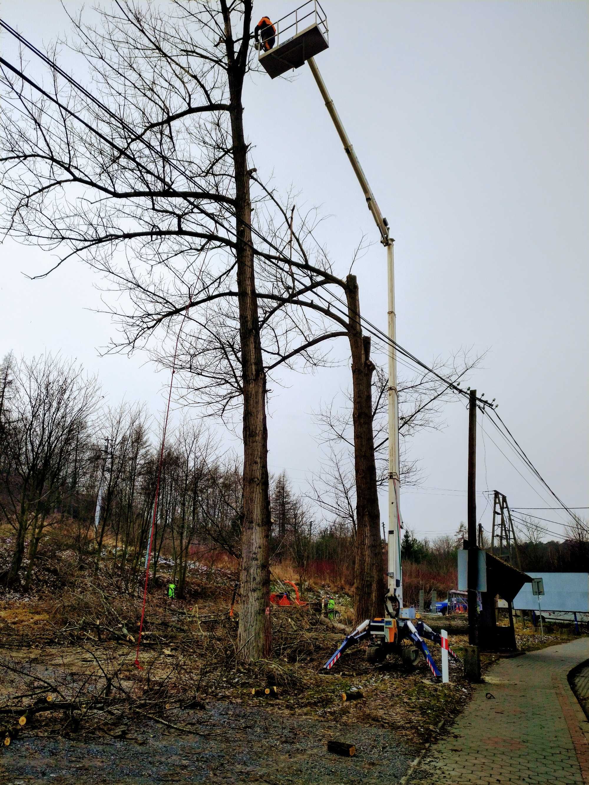 Wycinka drzew-pielęgnacja , karczowanie , oczyszczanie działek , rębak