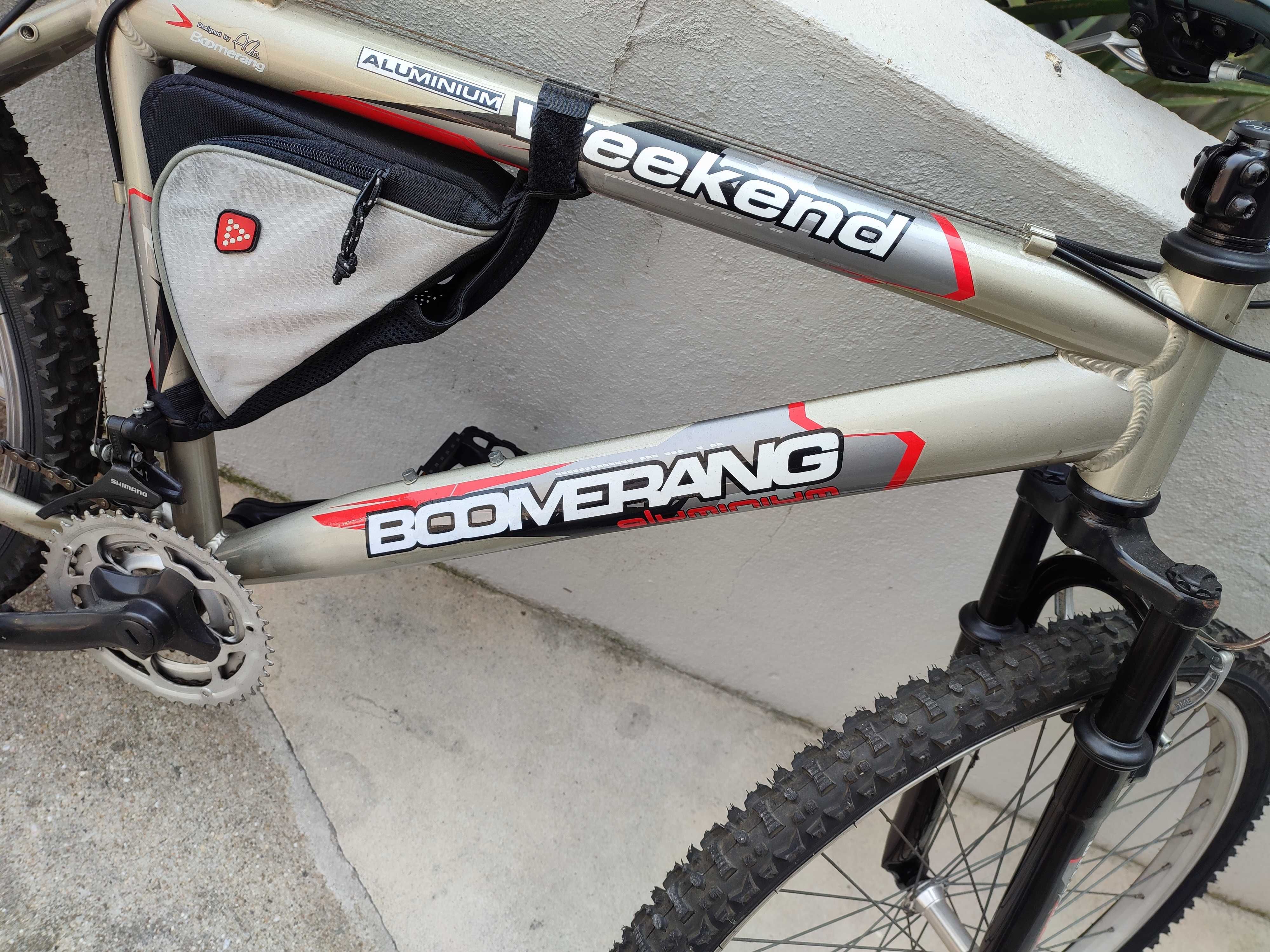 Bicicleta de adulto