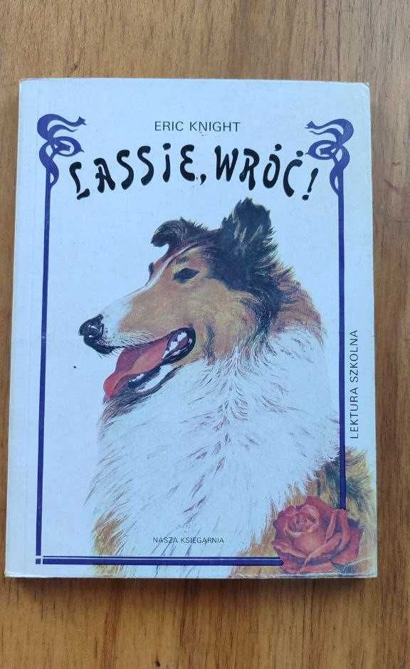 Книги польською. Robin Hood, Opowieść o prawdziwym człowieku...