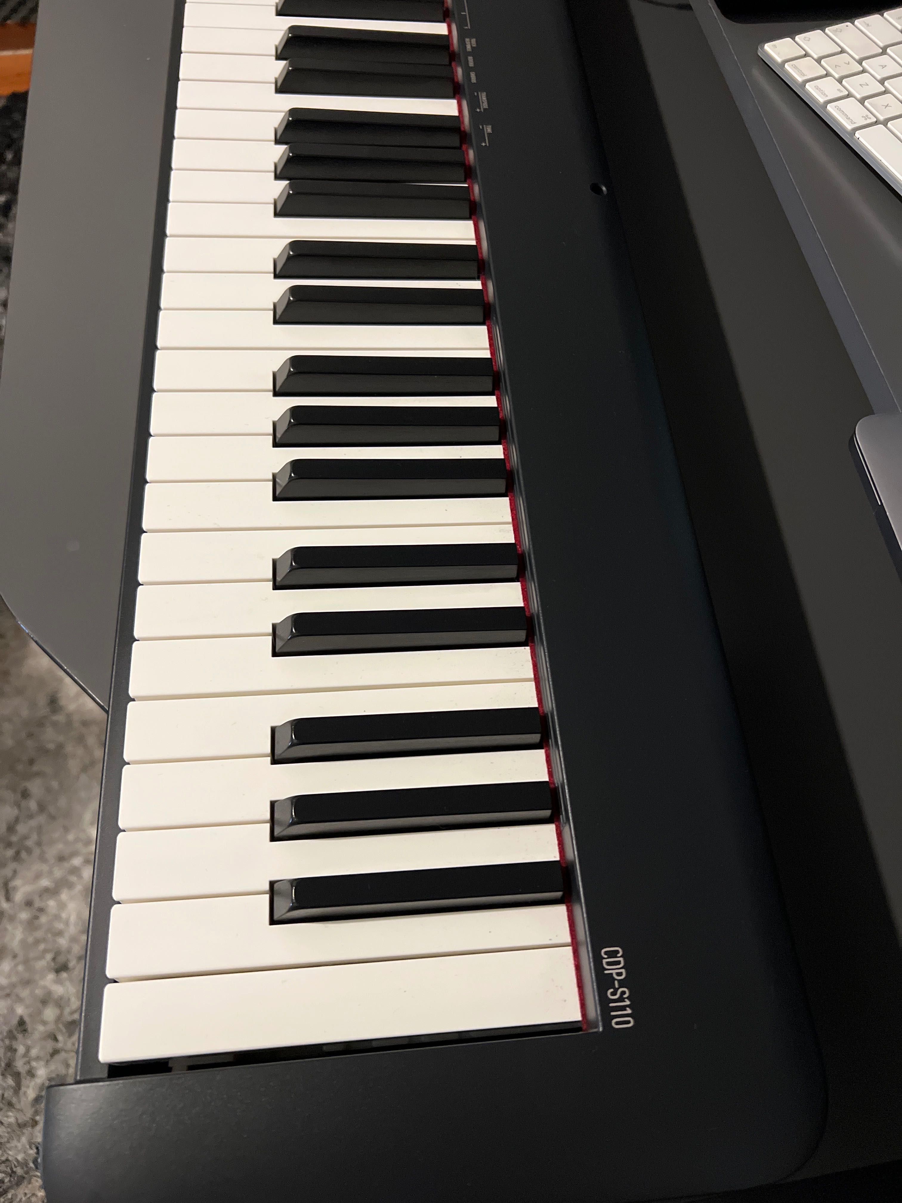 Piano casio CDP-S110