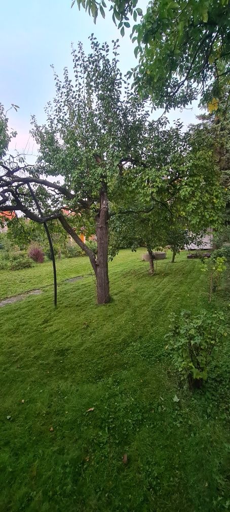 Działka ROD Legnica Bielany rodos