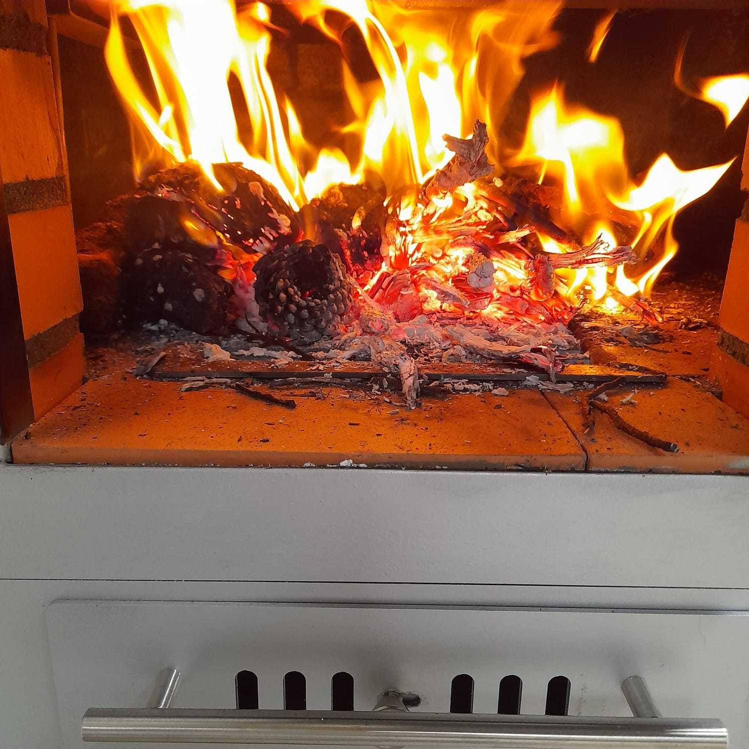 Forno Ecológico a Lenha e de Alta Eficiência para Uso Culinário