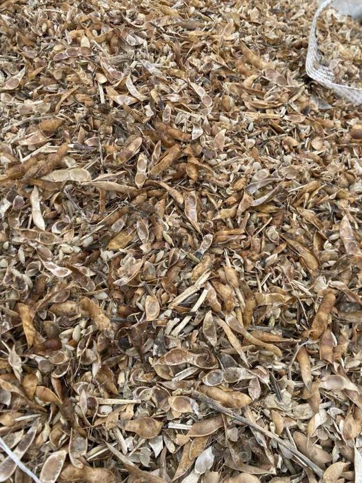 Відходи кукурудзяні та соєві