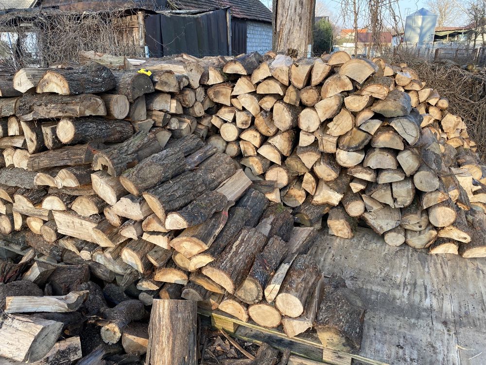 Drewno kominkowe Dąb, transport w cenie.