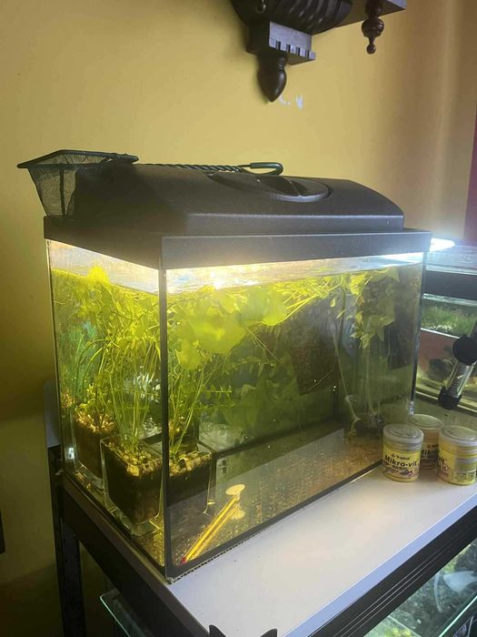 Akwarium 40x25x30