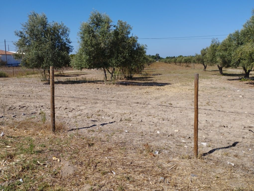 Terrenos para alugar em Grândola