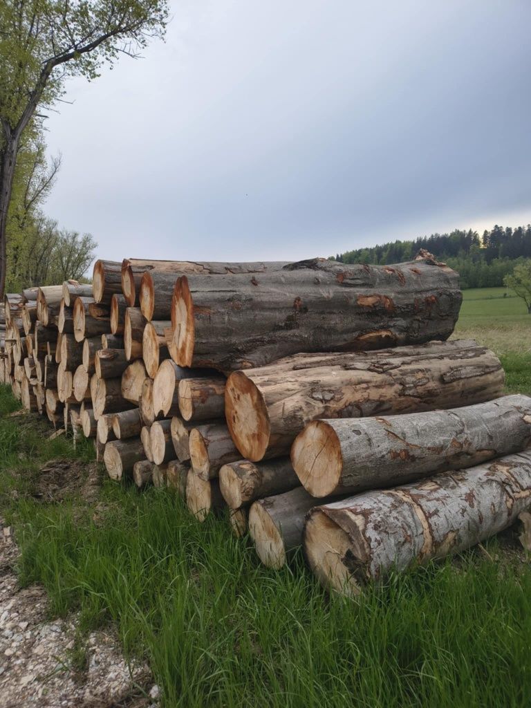 Drewno kominkowe opałowe Buk