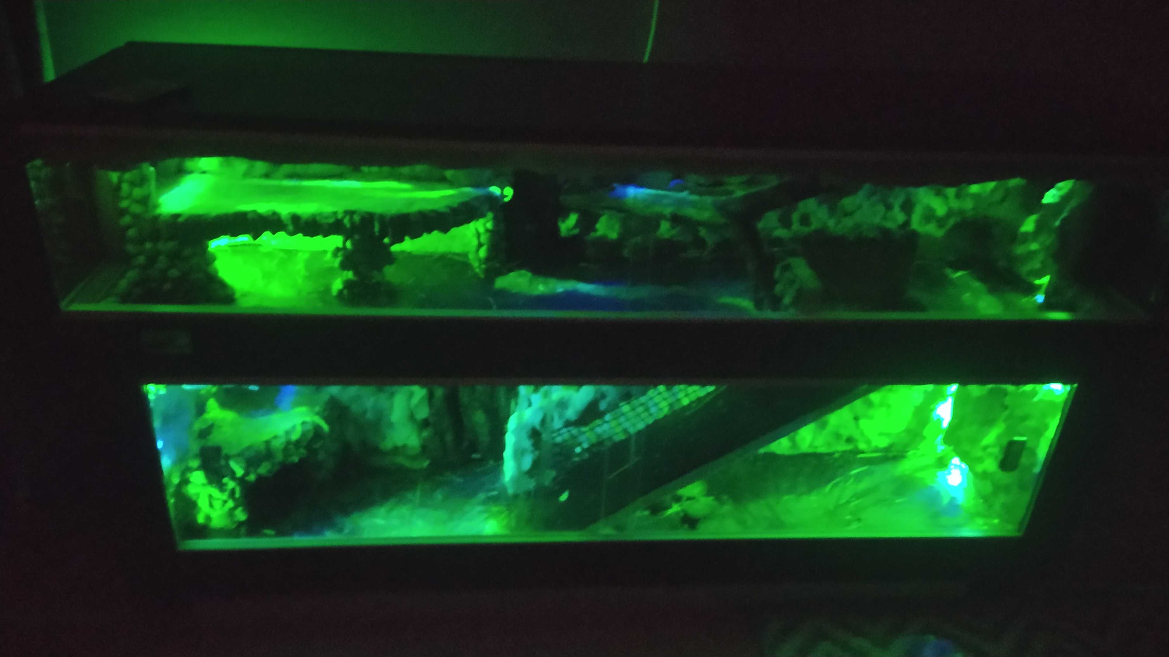 Terrarium dwupoziomowe-Nowa Cena