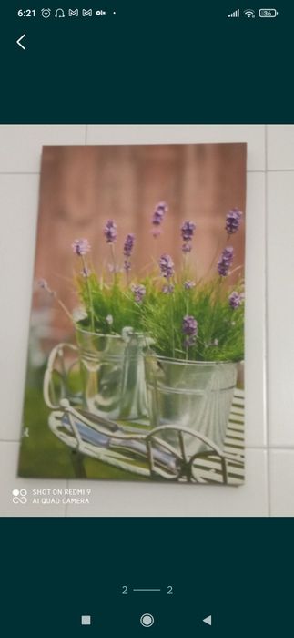 2 Telas decorativas alfazema