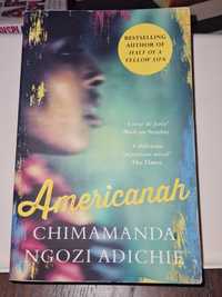 Americanah - Chimamanda Ngozi Adichie