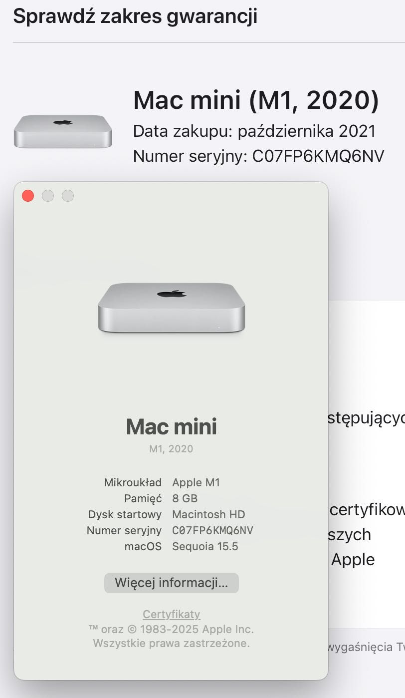Mac mini M1  8/256
